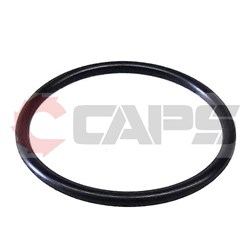 GASKET SEAL SUPPORT P250-283 TO SUIT 341 SERIES TAMPERS