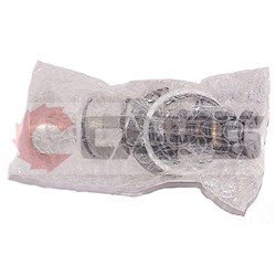 Inlet Valve Kit - Suits Ingersoll Rand R11IU, R5IU, R7IU