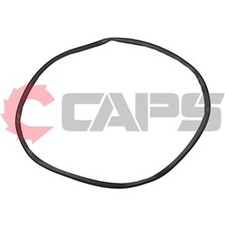 Lighting Tower Lens Gasket