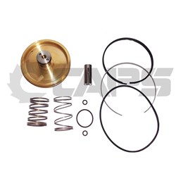 Valve Repair Kit