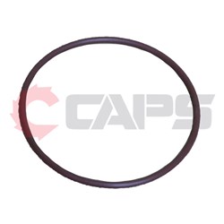 O-Ring 20A11EM031 BS031/VITON
