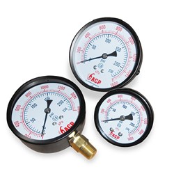 CAPS Model:  PG10R650:   1/4" Pressure Gauge