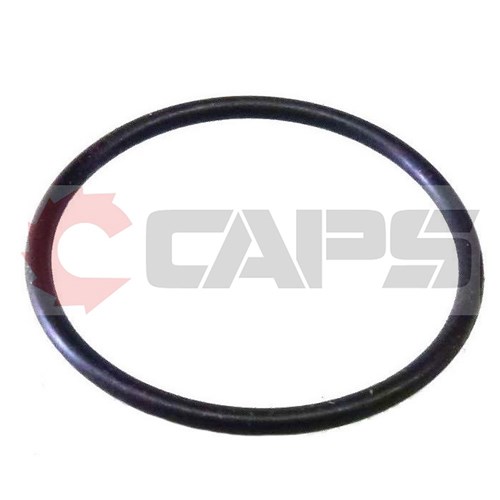 Ingersoll Rand Air Chipping Hammer O-Ring (R000A2-103)