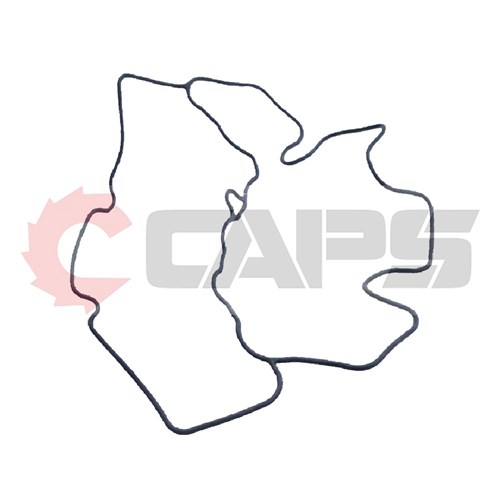 Gasket - Suits PDS75S Shibaru