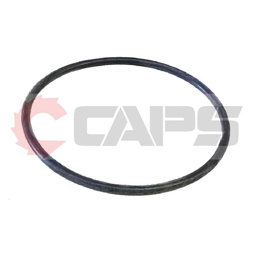 O-Ring - Suits Kohler KV500 Generator