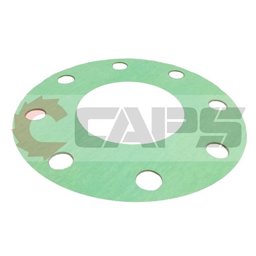 Flange Gasket