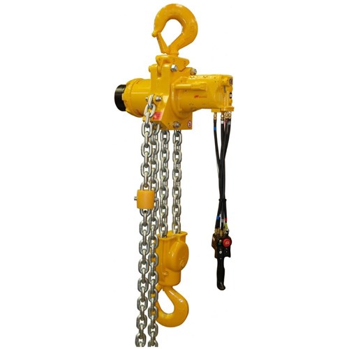 Ingersoll Rand CLK Air Hoist 250 Kg Capacity CAPS Shop